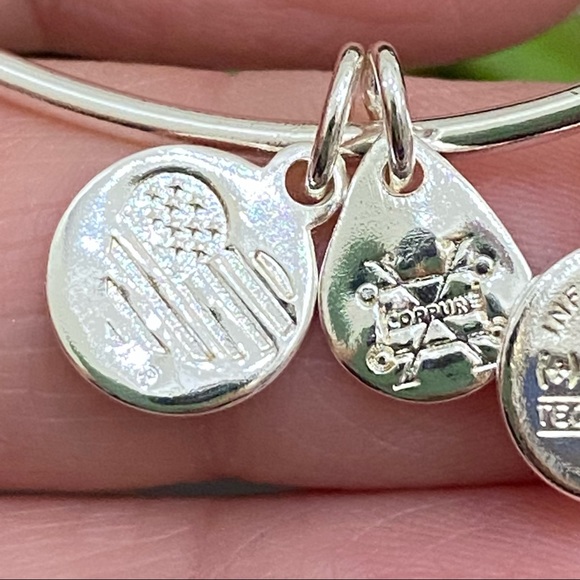 Alex and Ani Bah Humpug Bangle Bracelet - Picture 8 of 10
